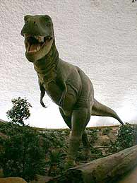 El tiranosaurio rex es uno de los carnvoros ms grandes que han poblado la tierra.