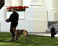 Un miembro de los servicios secretos vigila la Casa Blanca durante la alerta. (Foto: AP)