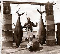 Algunos atunes rojos han llegado a medir ms de tres metros.