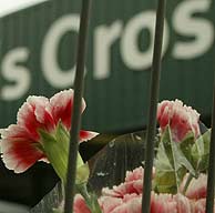 Flores en la estacin de King's Cross.