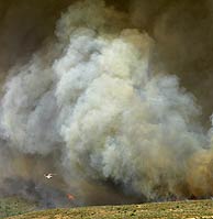 Una densa humareda durante el incendio en Guadalajara, que se inició en una barbacoa. VEA MÁS FOTOS (Foto: REUTERS)