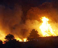 Un pinar alcarreo arde pasto de las llamas. (Foto: REUTERS)
