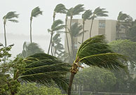 Los vientos del huracn 'Rita' azotan Islamorada, en Florida. (Foto: EFE)