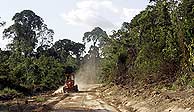 Unos maderedos ilegales en el estado de Par, en el Amazonas. (Foto: REUTERS)