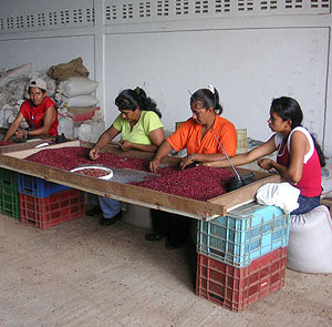 Proyecto de desarrollo en Nicaragua, país prioritario de la cooperación española. (Foto: M.A.)