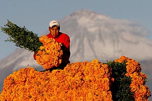 Un agricultor mexicano, recolectando la cosecha. (Foto: EFE)