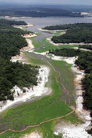La fuerte sequa afecta a lagunas y ros del interior de la Amazona, en Brasil. (Foto: EFE)