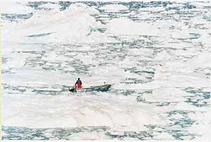 En Groenlandia los hielos tardan cada vez ms en cubrirlo todo. (Foto: Agencia Magnum)