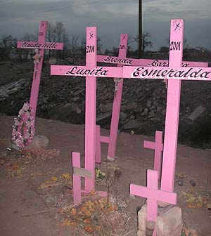 Cruces rosas en el solar donde fueron encontrados ocho cuerpos. (Foto: M.A.)