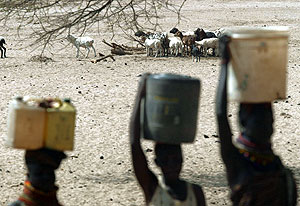 Mujeres transportando agua en una regin de Kenia. (Foto: AFP)