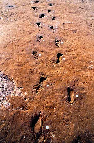 Imagen de las huellas de gente que huía del Vesubio encontradas por los científicos. (Foto: PNAS)