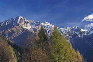 Imagen de las cumbres alpinas sin apenas nieve. (Foto: WWF)