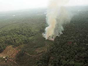 Incendio forestal en la Amazonía. (Foto: AP)