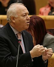 Moratinos, en la sesin de control al Ejecutivo en el Senado. (Foto: EFE)