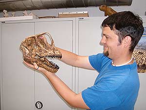 Nils Knotschke con la reconstruccin del crneo de un 'minidinosaurio'. (Foto: Science)
