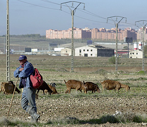 Terrenos del PAU de Los Ahijones a finales de 2005. (Foto: Pedro Carrero)