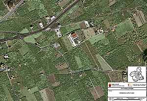 imagen satélite de los frutales murcianos. (Foto: Gobierno de Murcia)