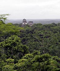 Templos que los mayas levantaron en Tikal.