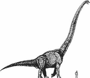 El 'Sauroposeidon', el dinosaurio ms alto conocido, llegaba a tener 41 grados de temperatura interna.
