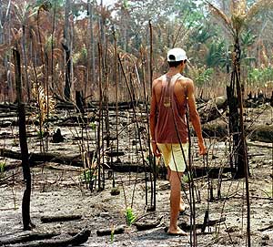 Un hombre camina en una zona quemada del Amazonas. (Foto: AP)