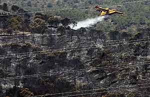 El 91% de los espaoles cree que los incendios forestales son consecuencia de la accin humana. (Foto: EFE)