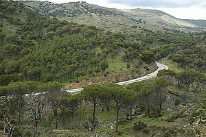 Vista panormica de la carretera de los Pantanos. (Foto: EL MUNDO)