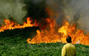 Un incendio, arrasando un área de A Lama. (Foto: REUTERS)