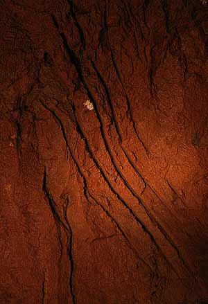 La huella encontrada en la cueva de Misuri. (Foto: AP)