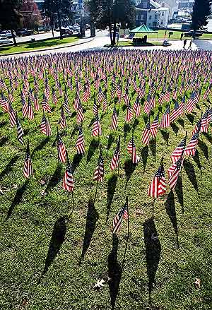 Banderas en el cementerio de York en recuerdo de los soldados cados en Irak. (Foto: AFP)