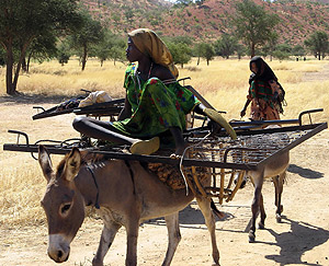 Dos mujeres chadianas huyen en burro de la violencia. (Foto: AFP)