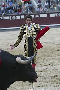 El diestro lvaro Justo contempla la muerte del toro en Las Ventas. (Foto: Julio Palomar)