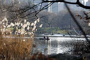 El lago del Central Park, sin un ápice de hielo. (Foto: Reuters)