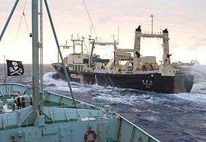 Imagen del 'Nisshin Maru' tomada el 9 de febrero desde un barco del grupo de activistas 'Sea Shepherd'. (Foto: AFP)