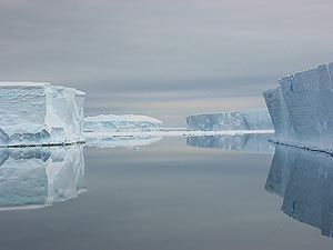Unos icebergs en el Antrtico. (Foto: Alfred Wegener Institute)