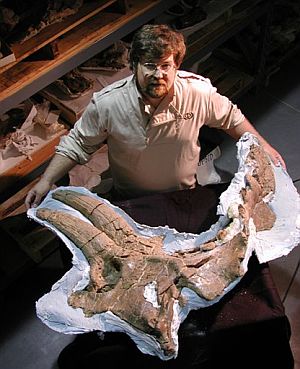 Michael J. Ryan, el descubridor de la especie, con un crneo de Albertaceratops. (Foto: AP)
