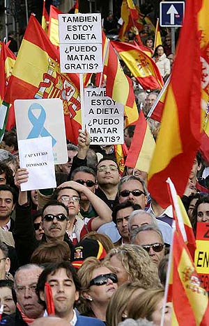 Una imagen de la manifestacin de Madrid. (Foto: EFE)