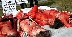 Unos jvenes protestan frente a una embajada de Canad contra la matanza de focas. (Foto: EFE)