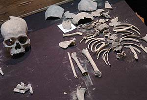 Restos del esqueleto de un muchacho de entre 5 y 8 años hallado en Tula. (Foto: EFE)