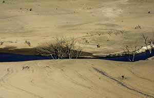Australia es una de las regiones ms afectadas por la sequa y la desertizacin. (Foto: Reuters)