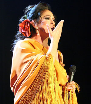Isabel Pantoja, durante su actuacin en Valladolid. (Foto: Pablo Requejo)