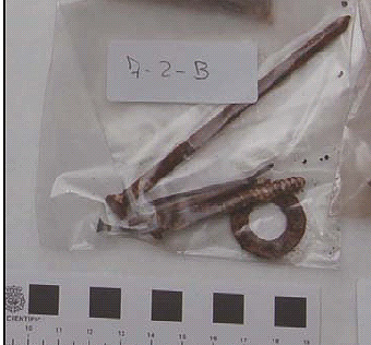 Metralla del artefacto desactivado en el Parque Azorin. Imagen del informe policial.