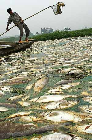 China es uno de los pases ms afectados por la contaminacin. En la imagen, un lago en Wuhan. (Foto: AP)