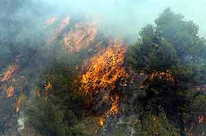 Un incendio forestal esta seman en Granada. (Foto: EFE)