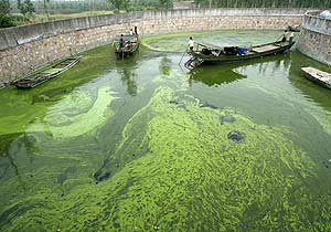 El Gobierno chino planea cerrar 2.150 fábricas para limpiar las aguas de un  lago | elmundo.es