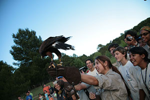 Algunos expedicionarios han visitado Cuenca, donde asistieron a una demostracin de cetrera. (Foto: ngel Colina)