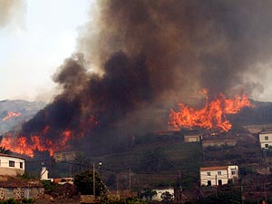 El incendio de Chipude (La Gomera), ya acotado, obligo a desalojar a varias personas. (Foto: EFE)