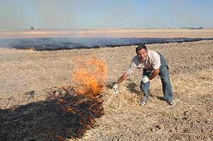 Un campesino quema rastrojos en Fresno el Viejo (Foto EL MUNDO)