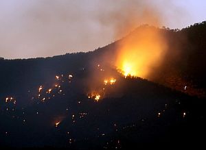 El incendio declarado en Riba-roja d'Ebre, ya controlado, el mircoles por la noche. (Foto: EFE)
