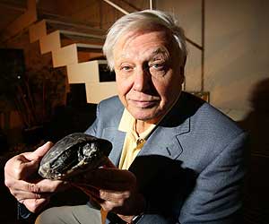 El naturalista britnico David Attenborough (EL MUNDO)