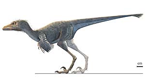 Reconstruccin del dinosaurio 'Mahakala omnogovae' (Science)